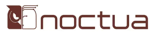 Noctua